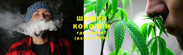 гашик Бородино