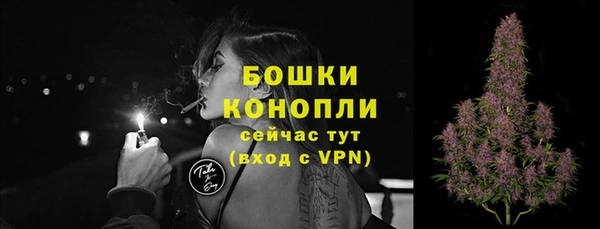 ешки Верхний Тагил