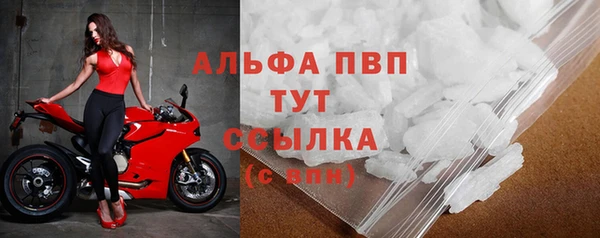 гашик Бородино